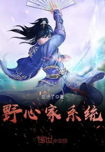 《野心家系统》封面