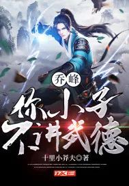 《乔峰：你小子不讲武德》封面