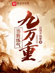 《当我练气九万重》封面