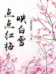 《点点红梅映白雪》封面