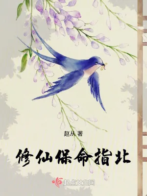 《修仙保命指北》小说封面