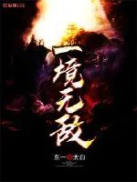 《一境无敌》封面