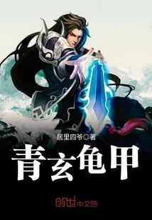 《青玄龟甲》小说封面