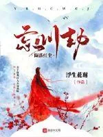 《陨落红尘忘川劫》封面