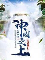 《神国之上》小说封面