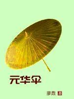 《元华伞》封面