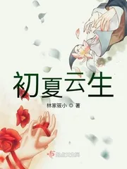 《初夏云生》封面