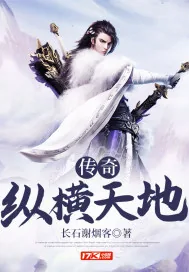 《传奇纵横天地》封面