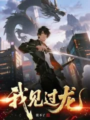 《我见过龙》小说封面