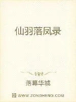 《仙羽落凤录》封面