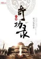 《江湖奇功录》封面