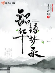 《韶华缘梦录》小说封面
