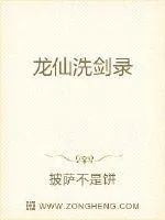 《龙仙洗剑录》封面