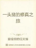 《一头猪的修真之旅》封面