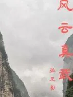 《风云真武》小说封面