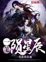 《一笔陨星辰》封面