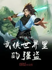 《武侠世界里的强盗》封面