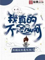 《我真的不是仙人啊》小说封面