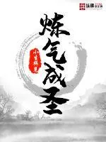 《炼气成圣》封面
