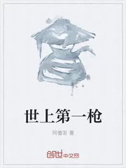 《世上第一枪》封面
