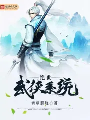 《绝世武侠系统》小说封面