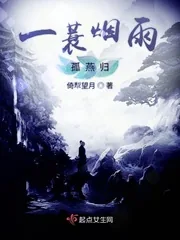 《一蓑烟雨孤燕归》封面