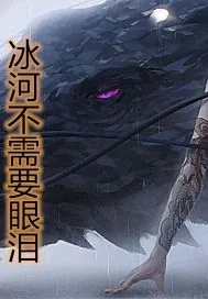《冰河不需要眼泪》小说封面