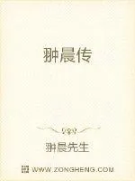 《翀晨传》封面