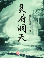 《灵府洞天》小说封面