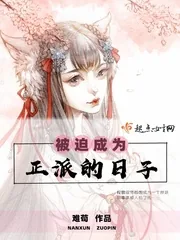 《被迫成为正派的日子》封面