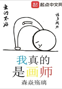 《我真的是画师》小说封面