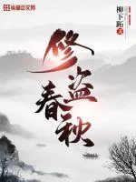 《修盗春秋》小说封面