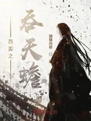 《西游之吞天蟾》封面
