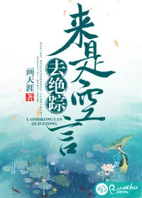 《来是空言去绝踪》封面