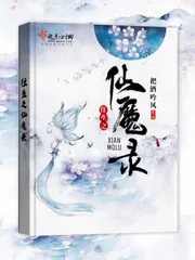 《往生之仙魔录》封面