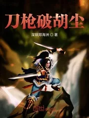 《刀枪破胡尘》封面