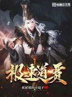 《极速道贾》封面