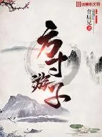 《方寸游子》封面