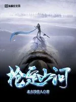 《枪定山河》封面