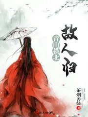 《青山横北故人归》封面