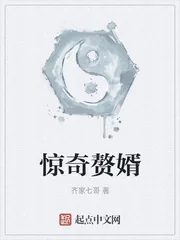 《惊奇赘婿》封面