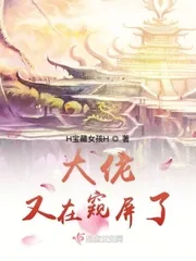 《大佬又在窥屏了》小说封面