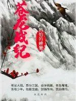 《苍龙战纪》封面