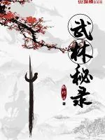 《武林秘录》封面