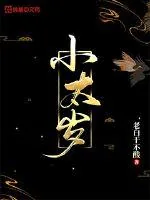 《小太岁》封面