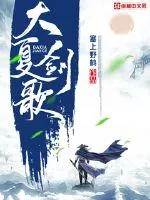 《大夏剑歌》封面
