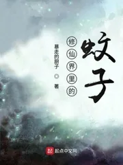 《修仙界里的蚊子》封面