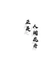《正是人间花开》封面