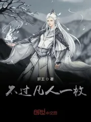 《不过凡人一枚》封面
