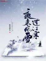 《夜来风雪过江寒》封面
